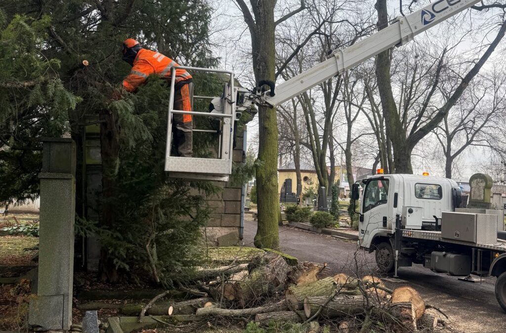 Technické služby renovují hřbitov a kácejí nežádoucí dřeviny