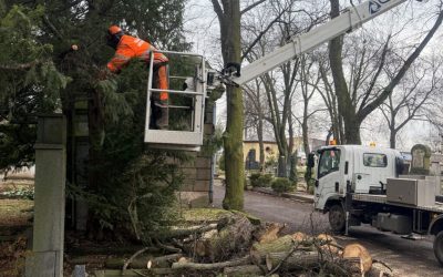 Technické služby renovují hřbitov a kácejí nežádoucí dřeviny